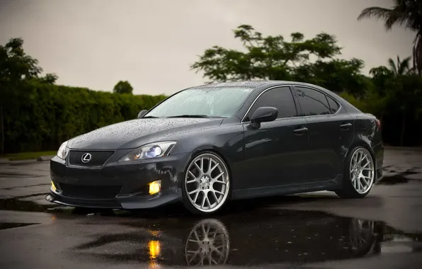 Picture auto, reflection, rain, wet, puddle, Lexus, Lexus IS