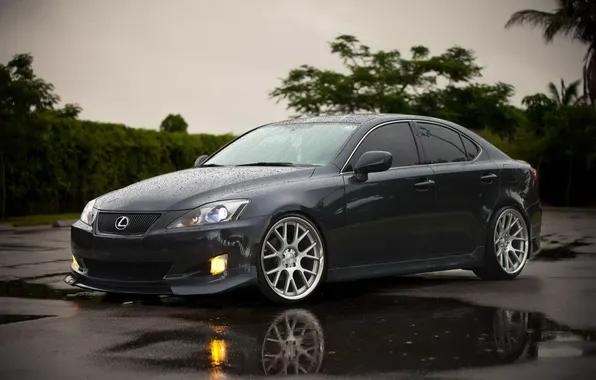 Auto, reflection, rain, wet, puddle, Lexus, Lexus IS