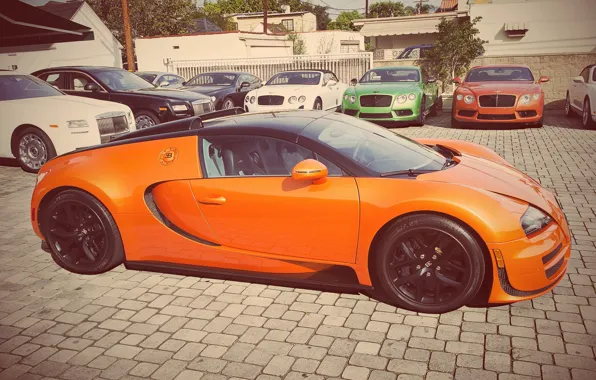 Bugatti, Grand, Veyron, Orange, Sport, Vitesse