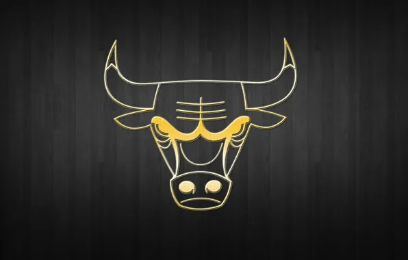 Basketball, Background, Logo, Gold, NBA, Chicago Bulls