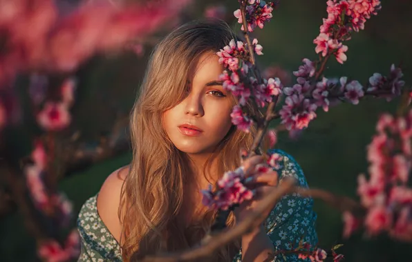 Picture look, girl, branches, face, portrait, flowering, long hair, Gregory Levin
