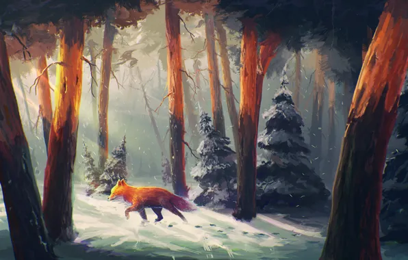 Picture winter, forest, snow, trees, traces, tree, art, Fox