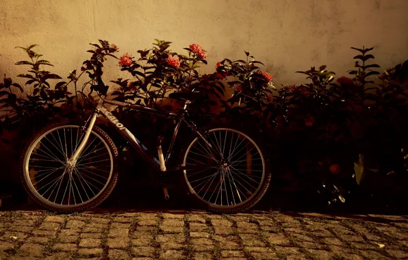 Picture flowers, bike, background, widescreen, Wallpaper, mood, wheel, wallpaper