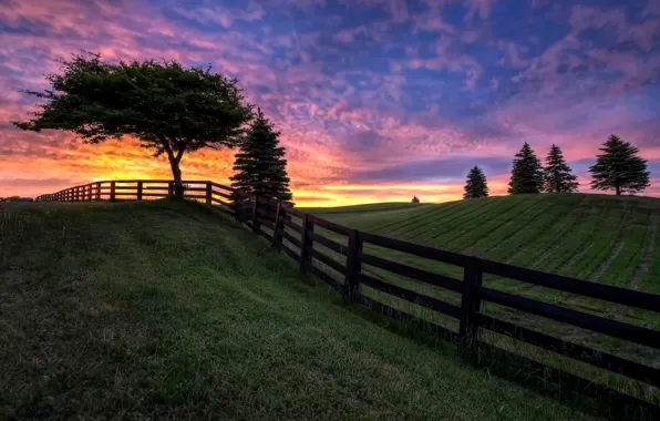 Field, the sky, clouds, trees, the fence
