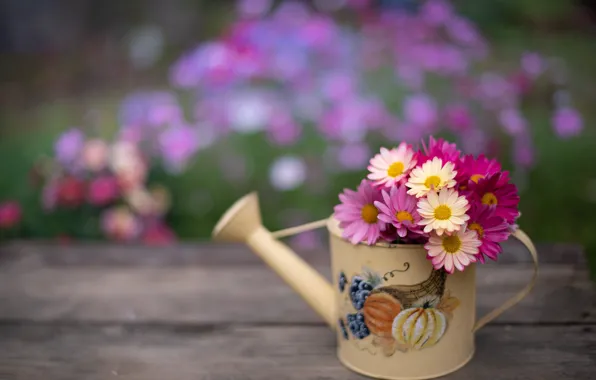 Flowers, bouquet, lake