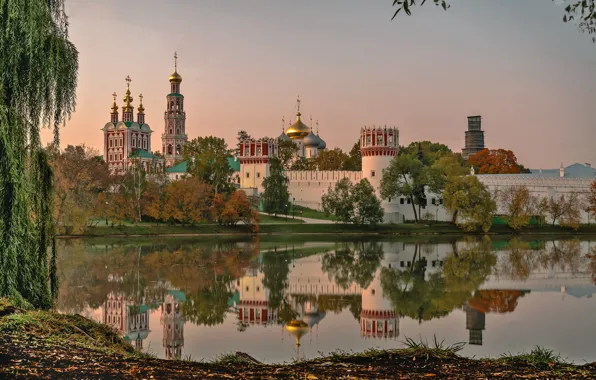 Picture summer, landscape, pond, reflection, morning, Novodevichy convent, Vyacheslav Biryukov