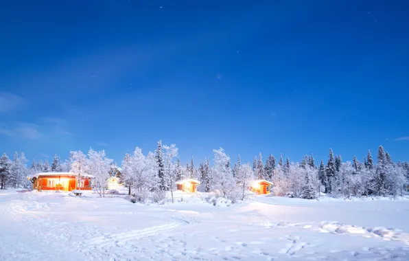 Picture winter, snow, trees, landscape, winter, house, hut, landscape