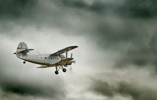 The sky, the plane, maize, legend, Antonov, biplane, An-2