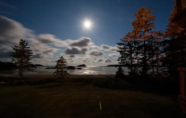 Islands, trees, night, lake, the moon, pine, the sky. stars