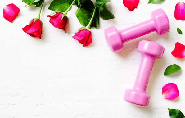 Flowers, background, roses, Dumbbells