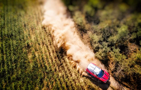 Red, Field, Mini, Dust, Sport, Speed, Race, Top