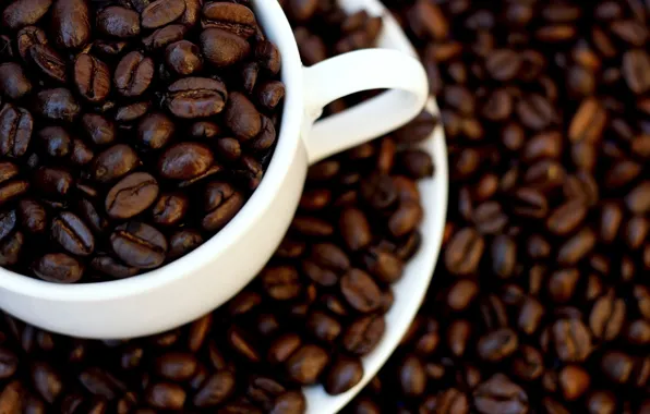 Picture white, macro, coffee, grain, Cup, white, brown, brown