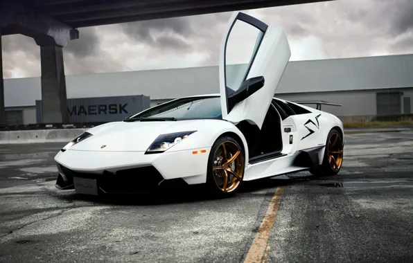 Murcielago, white, Lamborghini