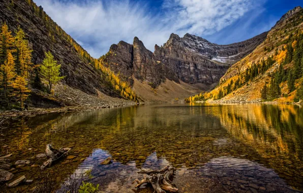 Autumn, forest, mountains, reflection, shore, the bottom, pond