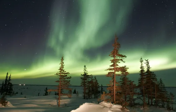 Winter, trees, night, Aurora, Northern lights