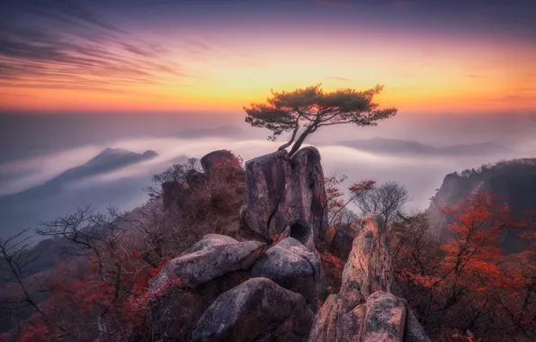 Autumn, the sky, mountains, branches, fog, stones, tree, rocks