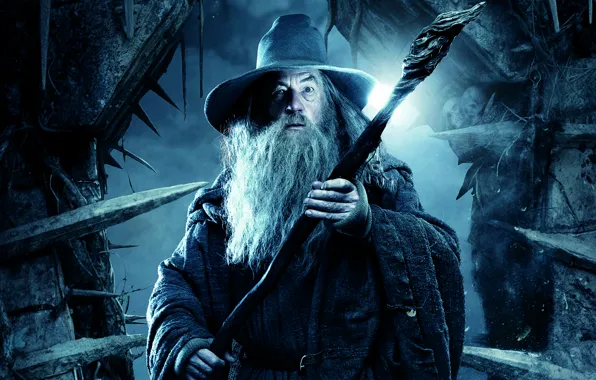 Picture staff, the wizard, Gandalf, The hobbit, Ian McKellen, The Hobbit, Ian McKellen, Gandalf