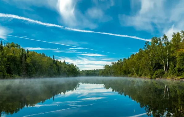 Picture morning, river, forest, nature