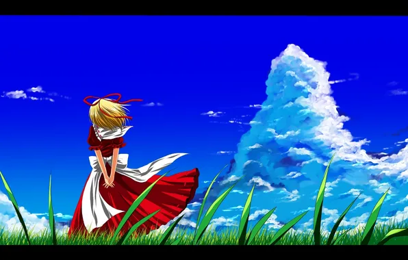 Picture grass, girl, the wind, cloud, dress, art, touhou, back