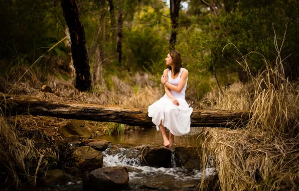 Picture forest, girl, river