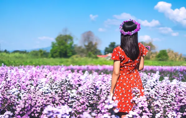 Field, summer, girl, flowers, brunette, wreath, is back