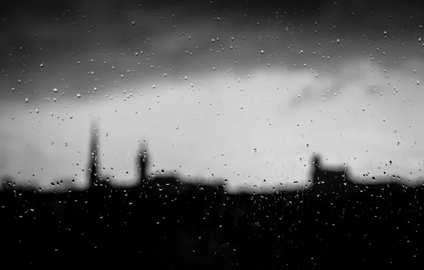 Picture water, drops, background, wet