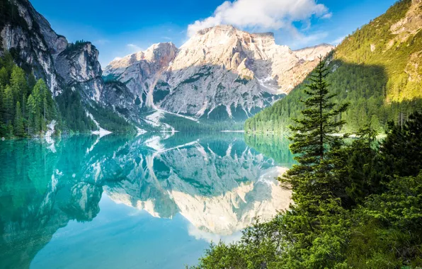 Forest, clouds, trees, mountains, lake, reflection
