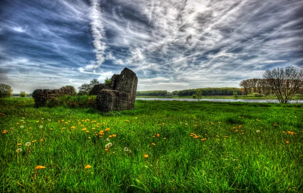 Picture road, the sky, grass, clouds, flowers, stones, dandelion, meadow