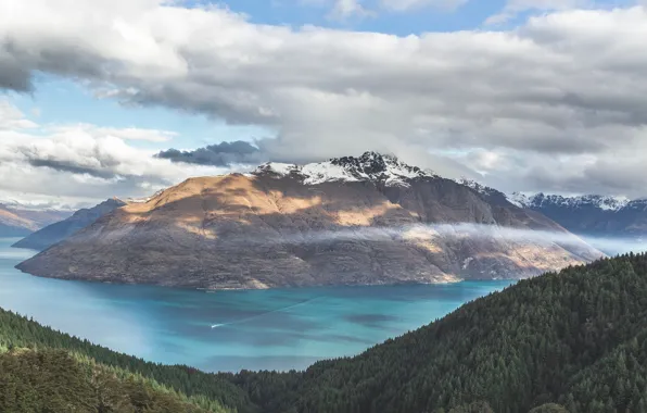 Picture forest, sky, trees, sea, landscape, nature, water, mountains