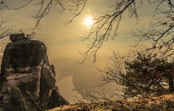Autumn, grass, leaves, branches, fog, rock, river, open