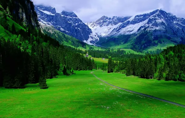 Picture road, trees, mountains