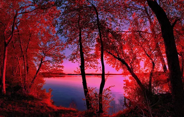 Picture autumn, the sky, trees, sunset, river, filter