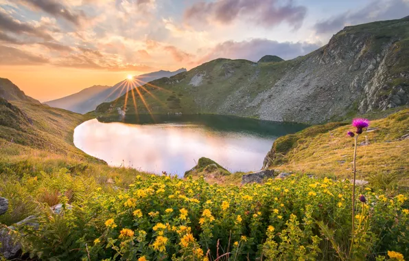 Picture the sun, rays, landscape, flowers, mountains, nature, lake, the slopes