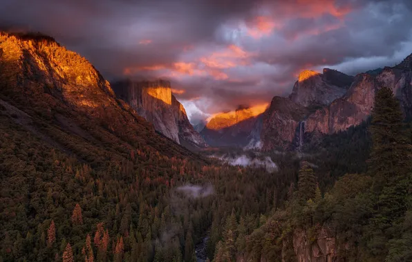Forest, mountains, USA, Yosemite National Park California