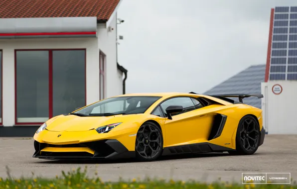 Picture Lamborghini, Wheels, Aventador, Vossen, Novitec, Torado, Forged