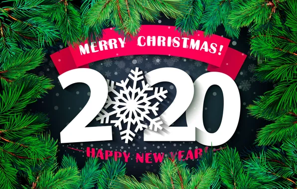 Photo, Branches, Snowflakes, New year, The inscription, The word, 2020