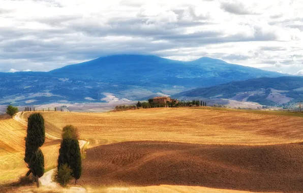 The sky, clouds, hills, field, Italy, forest, Tuscany, marvelous landscape