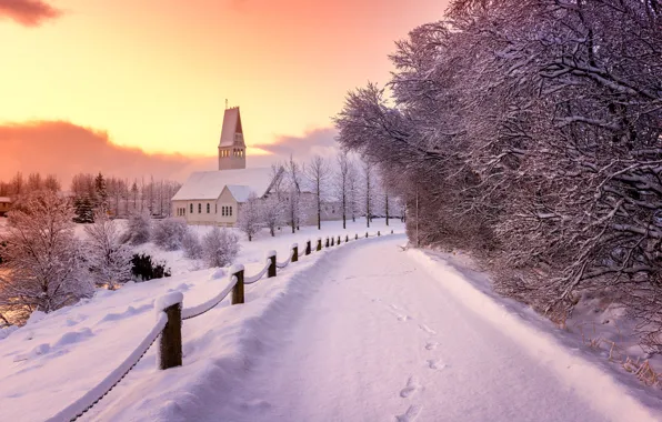 Winter, light, snow, trees, track