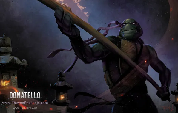Picture figure, turtle, TMNT, Donatello