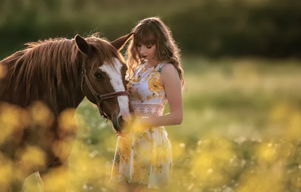 Picture summer, girl, nature, pose, horse, dress, bokeh