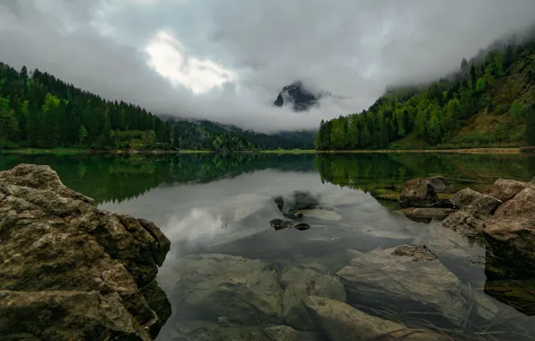 Forest, clouds, mountains, fog, lake, reflection, stones, shore
