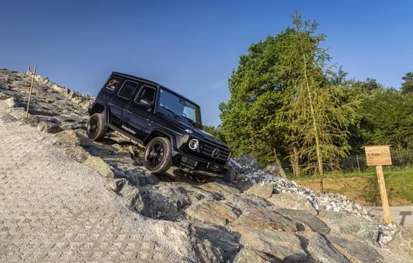 Picture black, the descent, Mercedes-Benz, SUV, 4x4, G-Class, V8, 2019