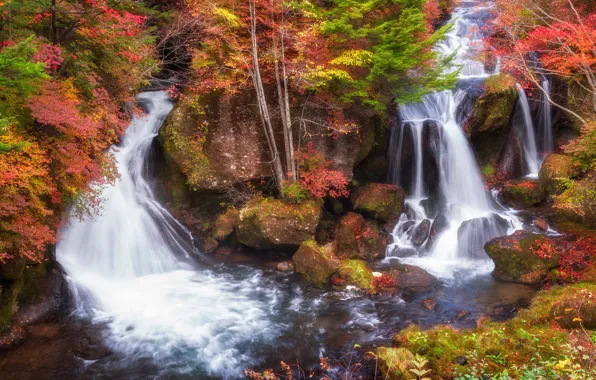 Autumn, leaves, trees, branches, stones, shore, foliage, waterfall