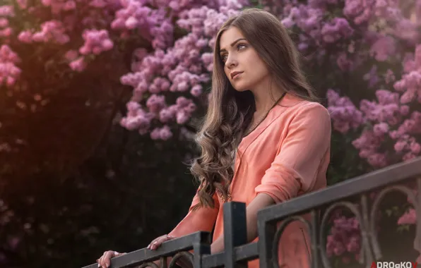 Picture look, girl, hair, portrait, curls, lilac, Olga, Alexander Drobkov-Light