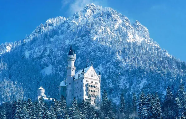 Castle, Bayern, Neuschwanstein