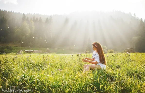 Picture greens, field, forest, grass, girl, trees, mood, dress
