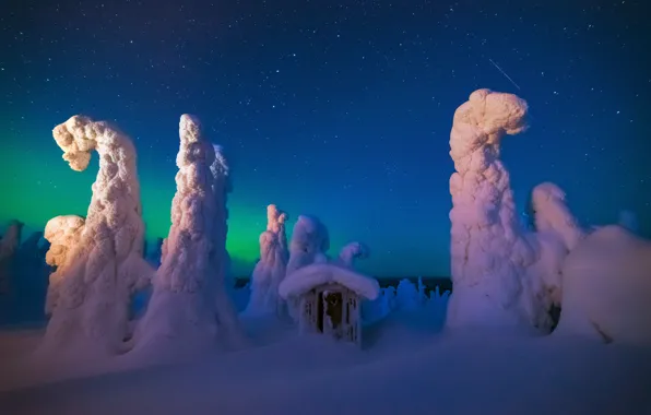 Winter, the sky, stars, snow, night, Northern lights, the barn, North