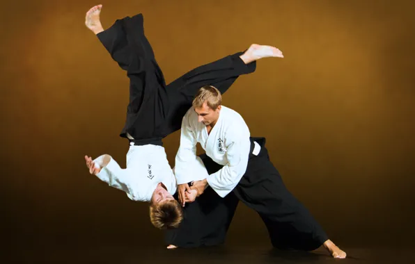 Martial art of Aikido . Stock Photo | Adobe Stock