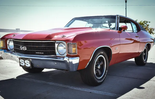 Camaro, Camaro SS, Muscle Car, Chevrolet Camaro SS, Edwin Hooper