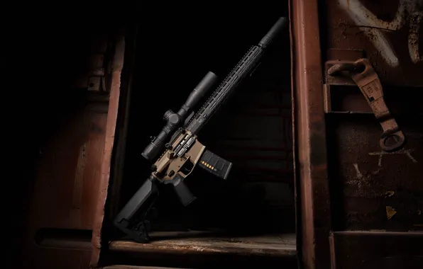 Weapon, carabiner, assault rifle, assault Rifle